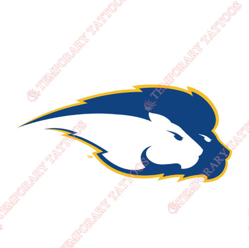 Hofstra Pride Customize Temporary Tattoos Stickers NO.4554
